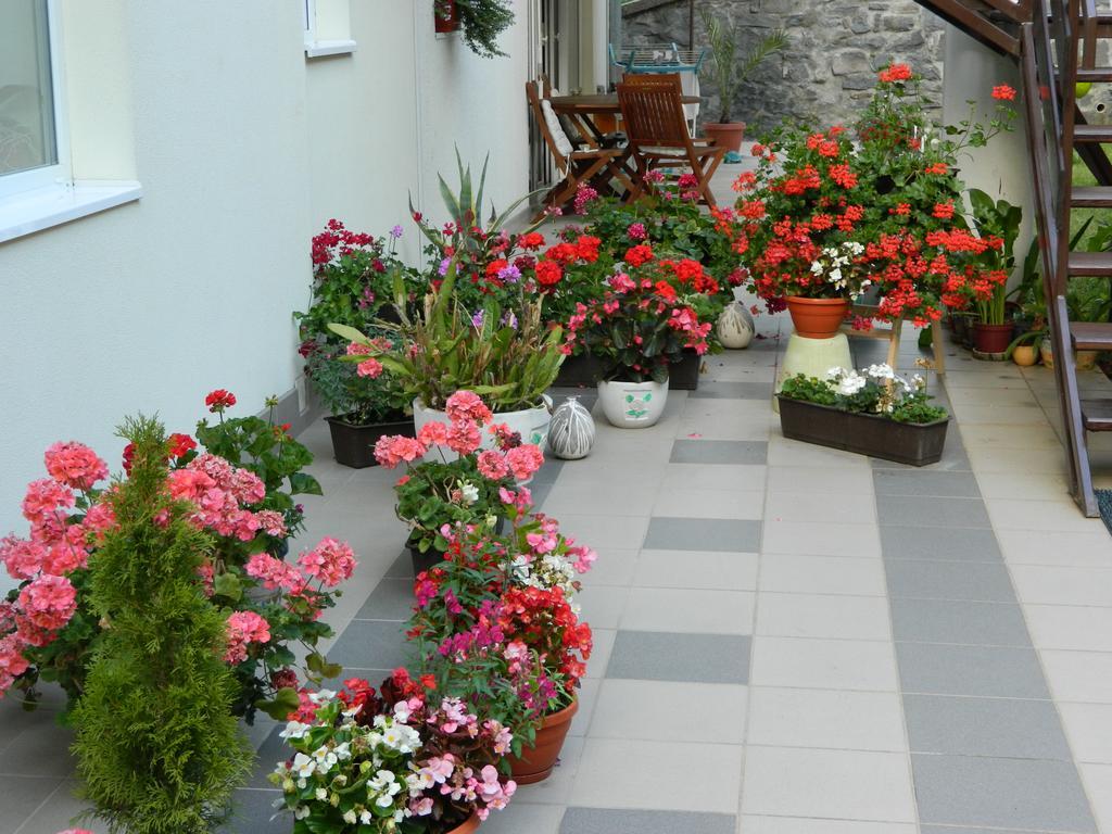 Casa Anette Διαμέρισμα Sovata Εξωτερικό φωτογραφία