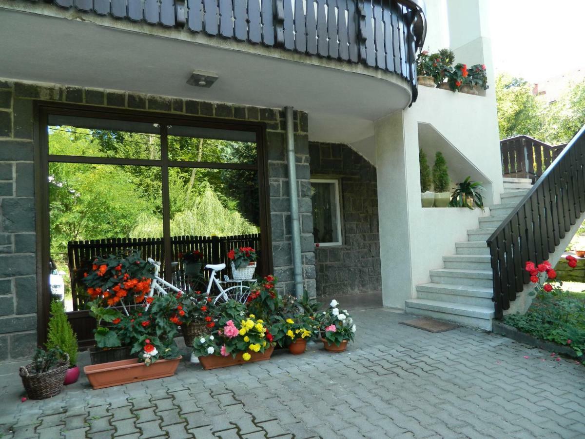Casa Anette Διαμέρισμα Sovata Εξωτερικό φωτογραφία
